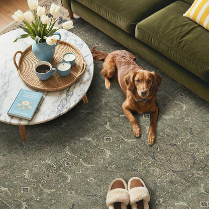 GENIMO 2x3 Area Rugs for Living Room, Machine Washable Non Slip Vintage Rugs, Low Pile Lightweight Chenille Print Rug for Bedroom, Dining Room, Home Office, Muted Green