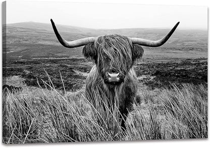 Highland Cow Wall Art Canvas Black and White Artwork Canvas Picture Highland Cow Prints Paintings Wall Decor Framed for Living Room Bathroom (28x44 inch)