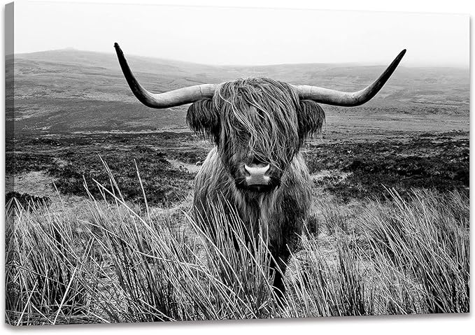 Highland Cow Wall Art Canvas Black and White Artwork Canvas Picture Highland Cow Prints Paintings Wall Decor Framed for Living Room Bathroom (20x30 inch)