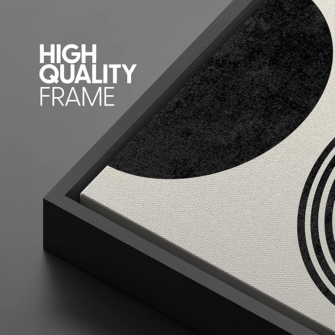SIGNLEADER Framed Canvas Print Wall Art Spiral Parabolas & Solid Semi Circle Geometric Shapes Drawings Modern Art Contemporary Edgy Black and White for Living Room, Bedroom, Office - 24"x36"x3 BLACK