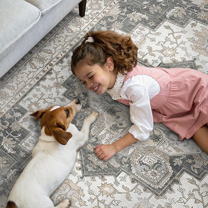 GENIMO Area Rug 2x3 Doormat, Machine Washable Low Pile Rugs, Small Retro Chenille Entryway Mat for Entrance, Hallway, Kitchen and Corridor, Heathered Grey