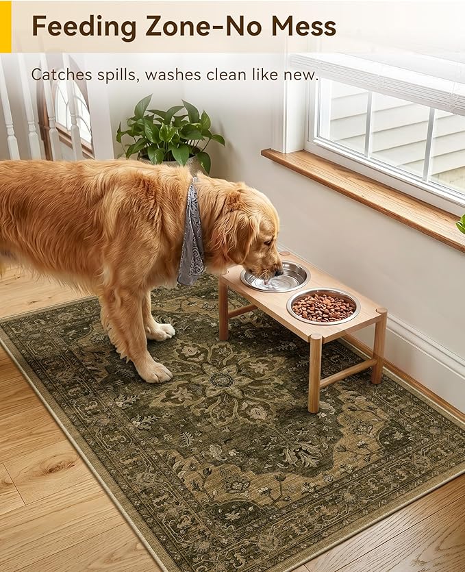 RELEANY Area Rugs 2'x3' Kitchen Rugs Entry Rug Small Rugs for Entryway Kitchen Bathroom Door Mat Indoor Entrance,Washable Non Slip, Brown Dark Brown