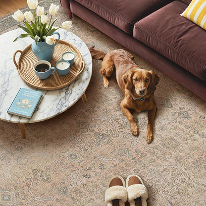 GENIMO 8x10 Area Rugs for Living Room, Machine Washable Non Slip Vintage Rugs, Low Pile Lightweight Chenille Print Rug for Bedroom, Dining Room, Home Office, Oatmeal Beige