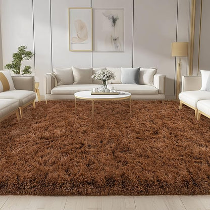 Brown Rug for Living Room Bedroom, 6x9 Fuzzy Fluffy Carpet, Shag Area Rugs for Kids Home Decor Aesthetic, Non Slip