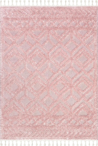 nuLOOM Akia Lattice High/Low Tassel Area Rug, 7'10" x 10', Pink